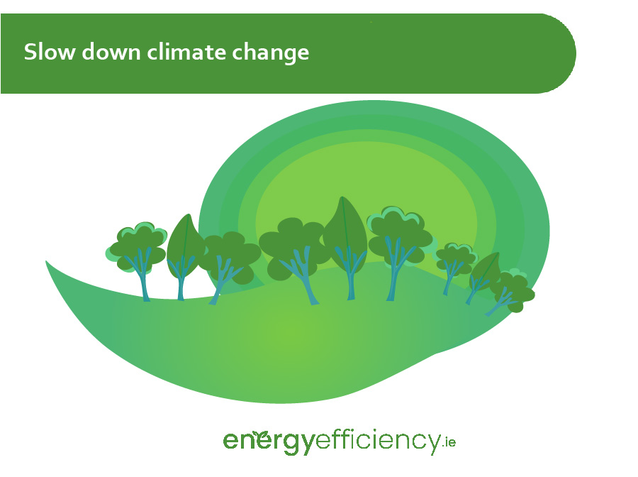 Solar Panels Slow Down Climate Change