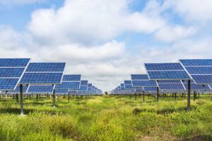 Benefits of Solar Panels on a Farm
