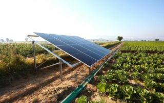 Solar Panels in Agriculture Ireland