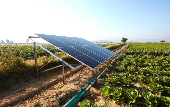 Solar Panels in Agriculture Ireland