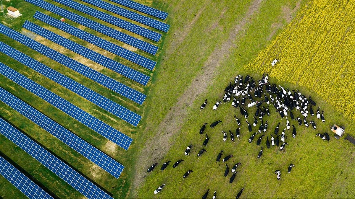 Why Solar Panels are Ideal for Irish Farms