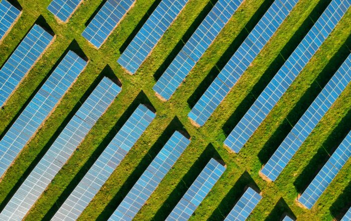 Solar panels on a farm