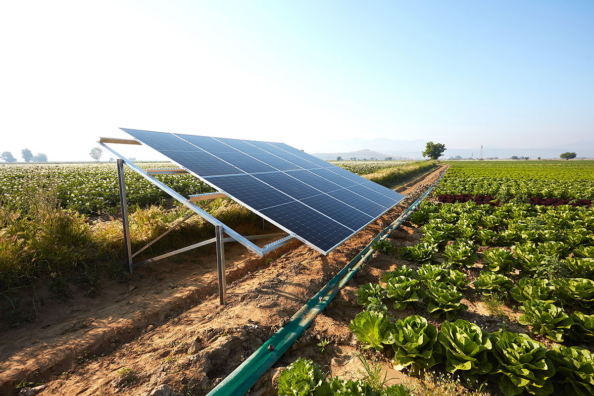 Commercial Solar for Agriculture