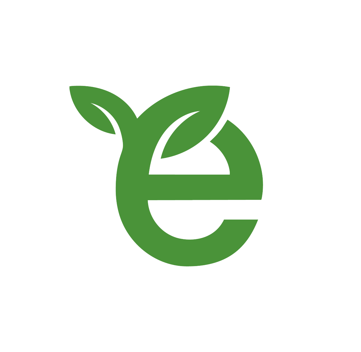 Energy Efficiency Ireland logo