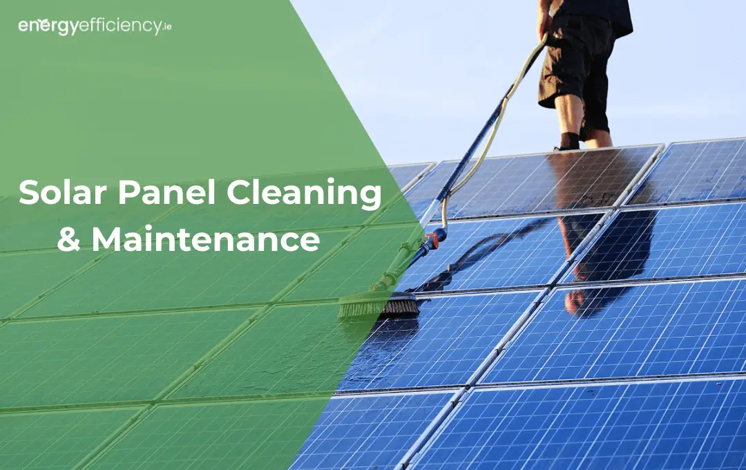 Solar panels cleaning