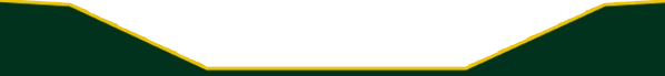 Rectangle overlay